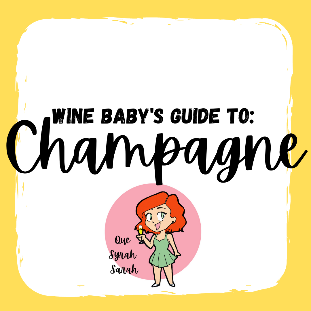 Wine Baby's Guide to Champagne